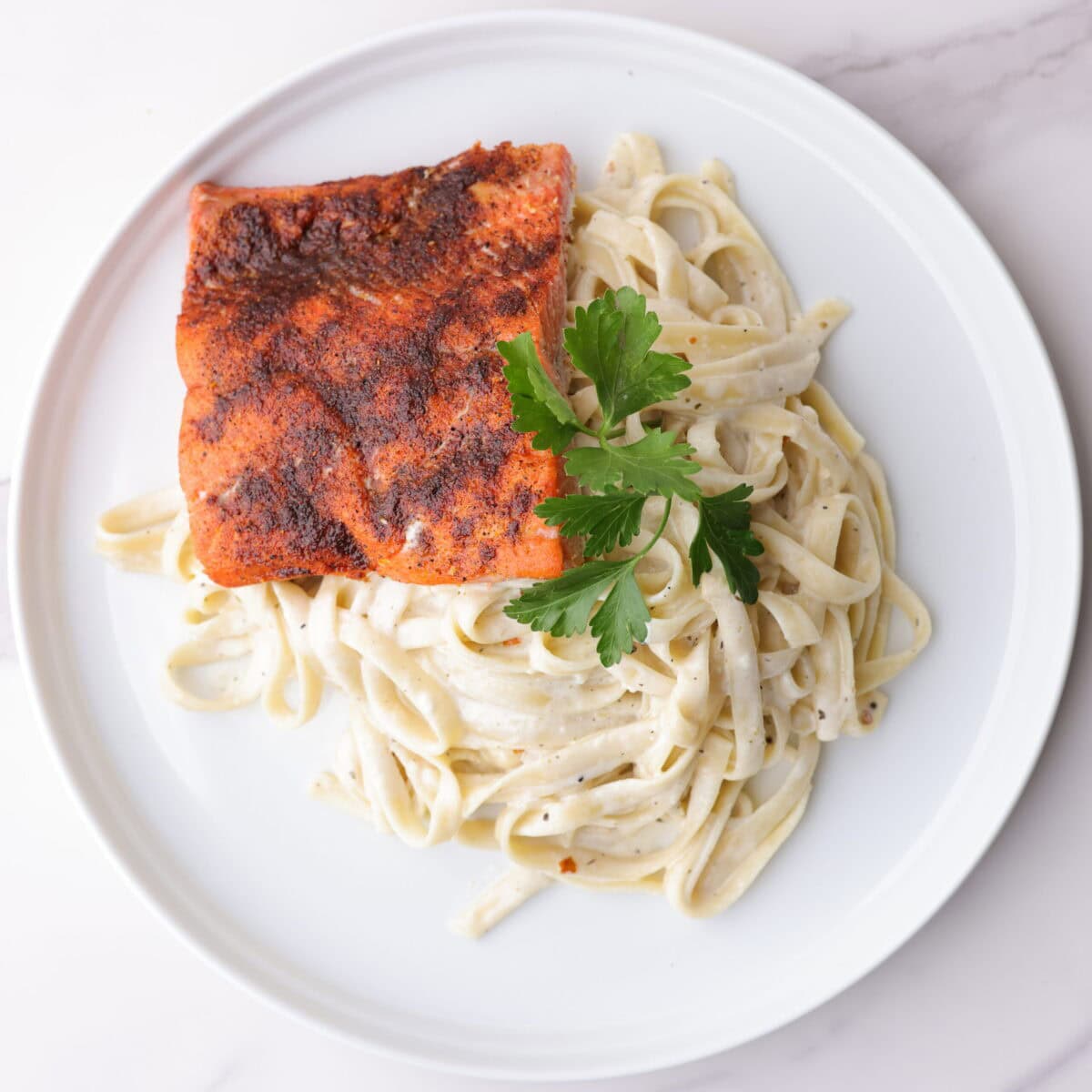 A white plate with tender fettuccine Alfredo topped with a 4 ounce blackened salmon fillet trimmed with parsley.