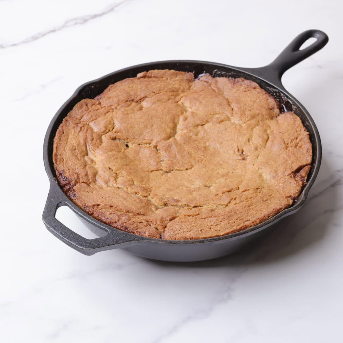 The cast iron skillet with the plum upside down cake baked to golden perfection.