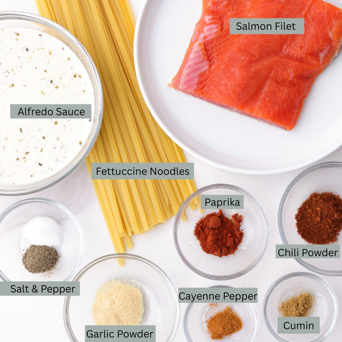 A visual display of the ingredients for blackened salmon Alfredo - Alfredo sauce, fettuccine noodles, a sockeye salmon fillet, salt, pepper, garlic powder, cayenne pepper, chili powder, cumin and smoked paprika.