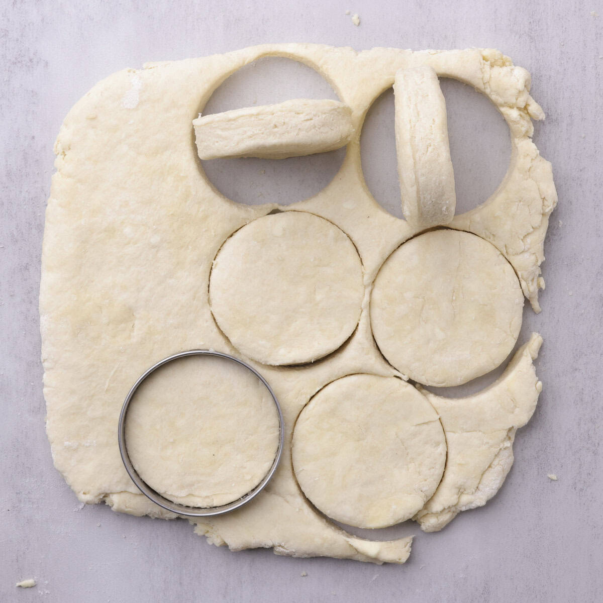 The laminated biscuit dough rolled out and cut into rounds. Some are displayed on their side to show the ¾-inch thickness.