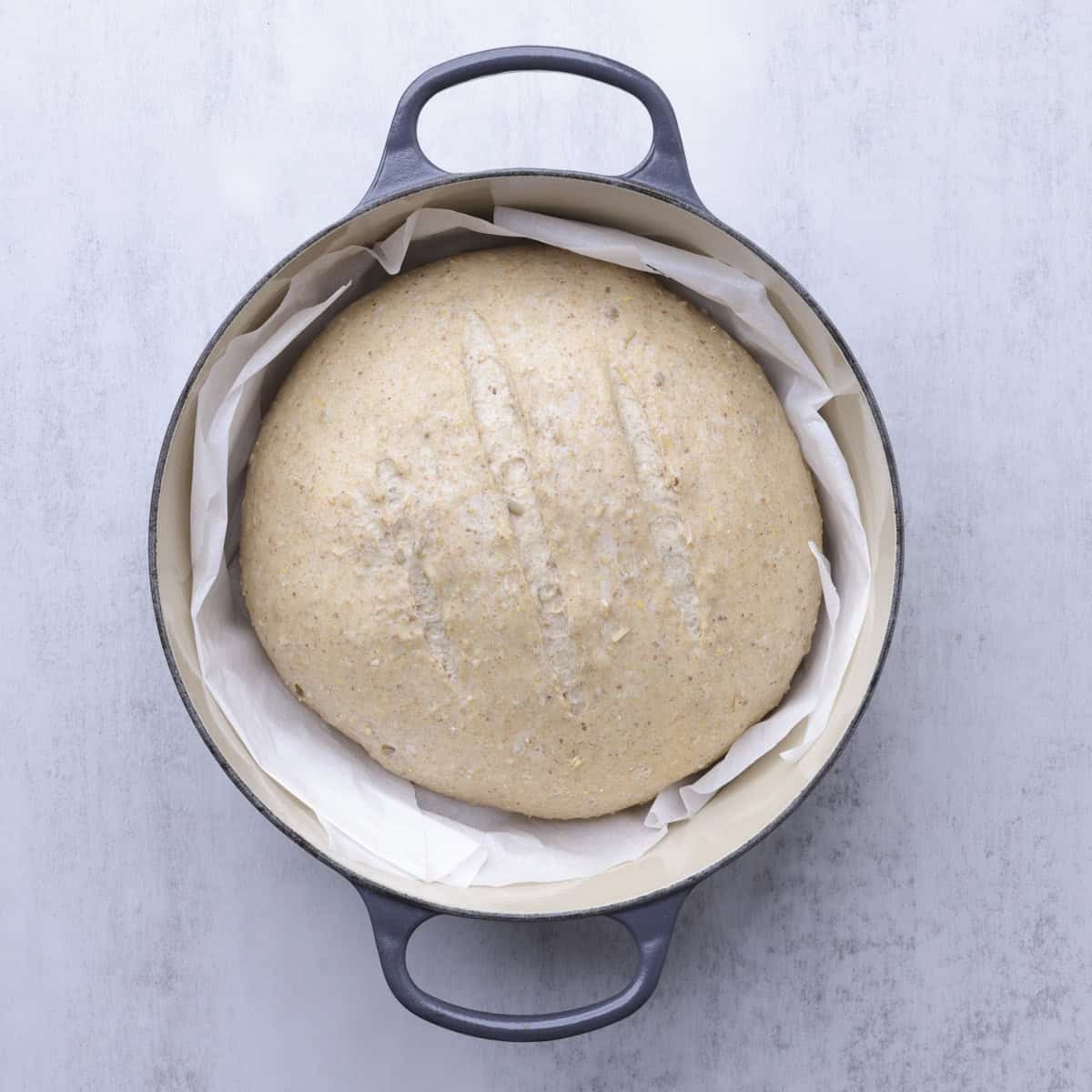 A cast iron pot with the risen dough in it surrounded by the parchment paper.