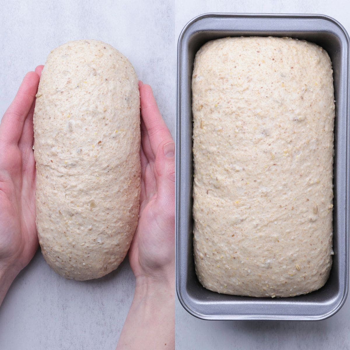A split picture with one side of forming the loaf with a hand on either side of the dough, forming a log. The second side showing the loaf risen in the tin pan.
